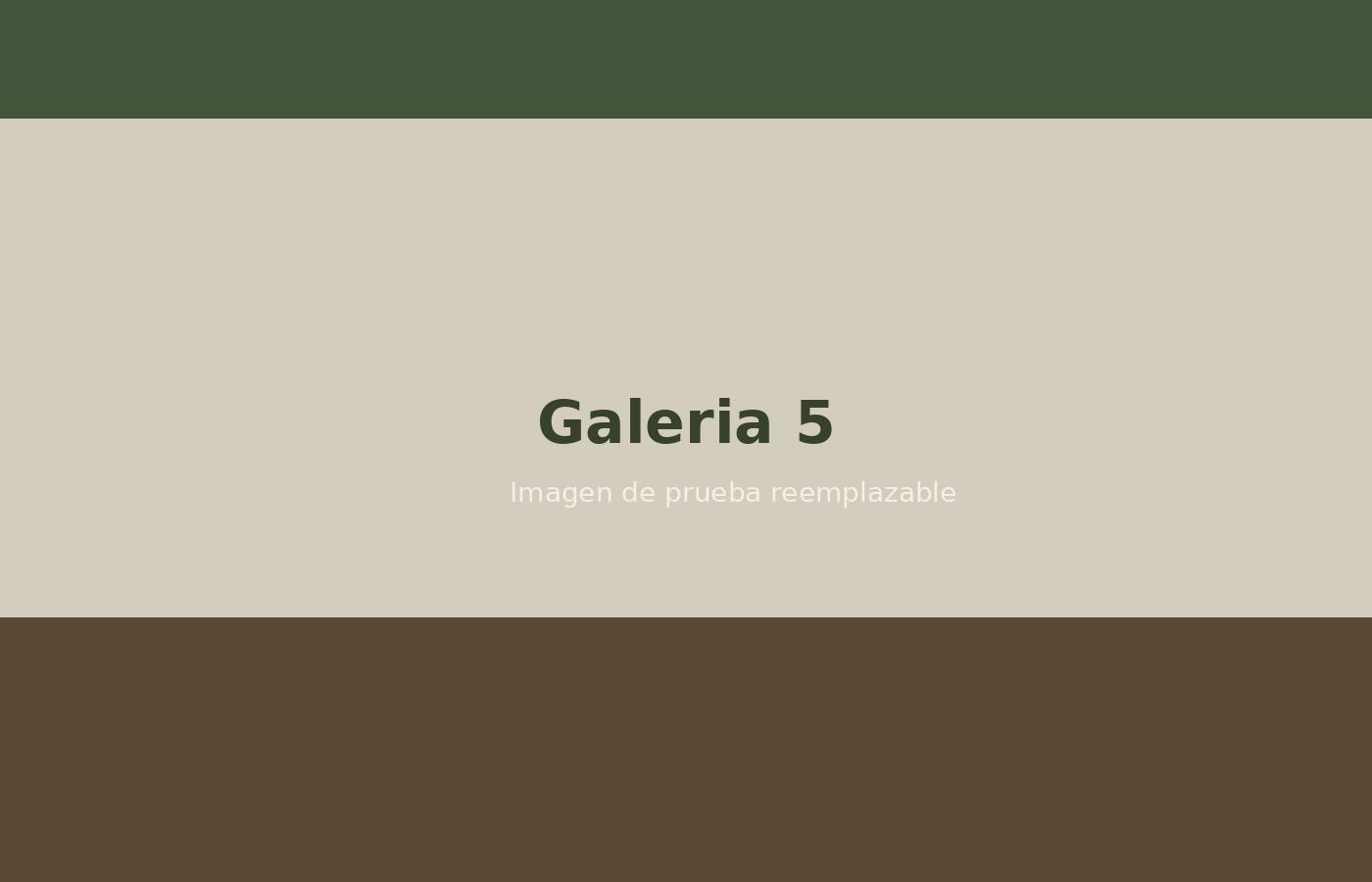Galería 5