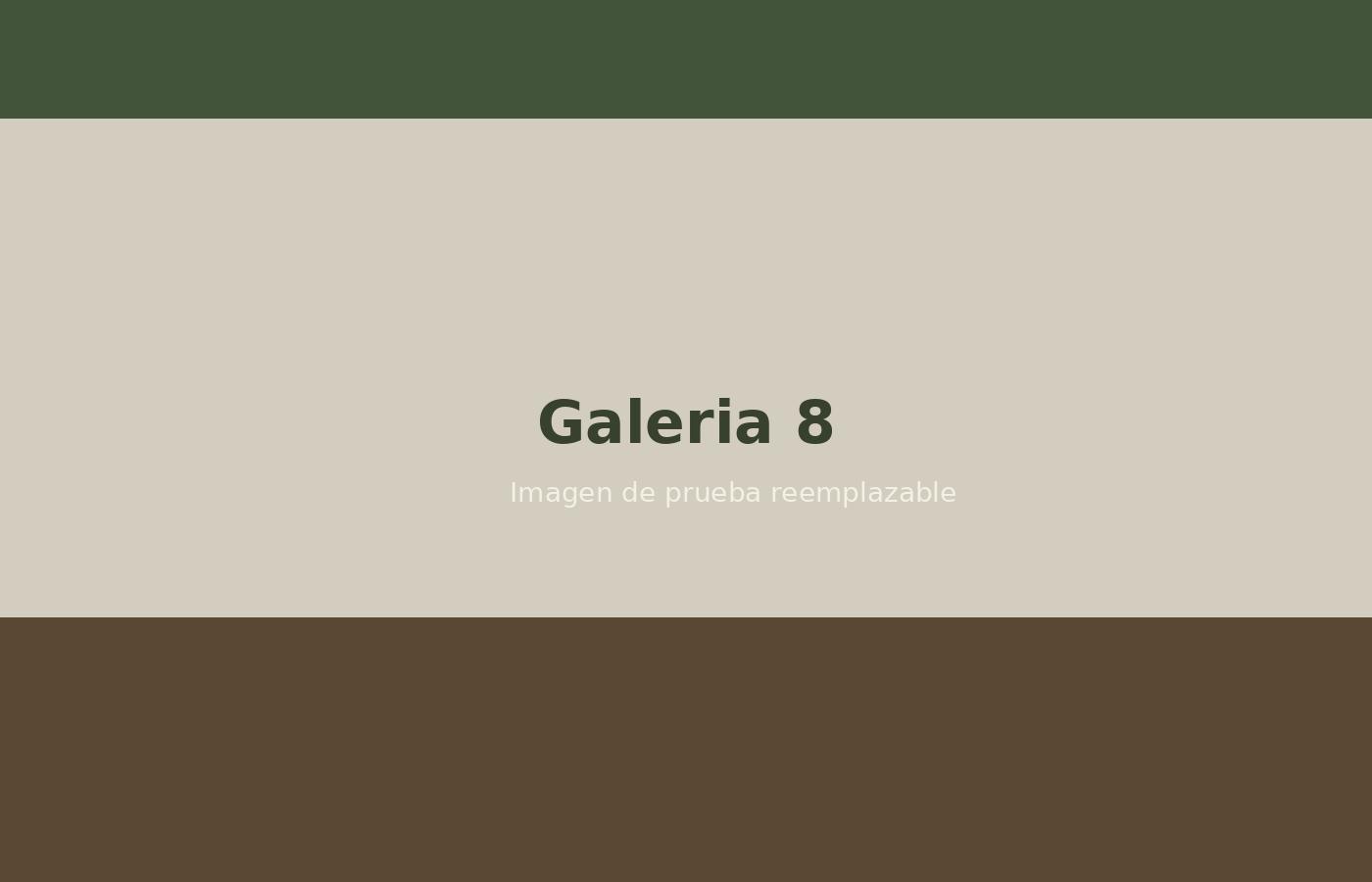 Galería 8