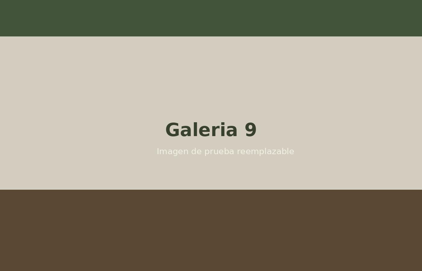 Galería 9