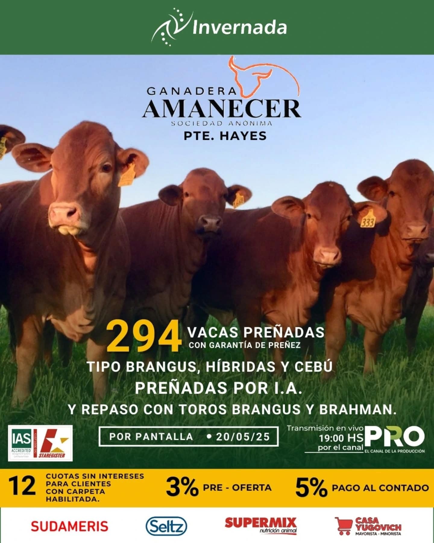 Flyer de remate de prueba